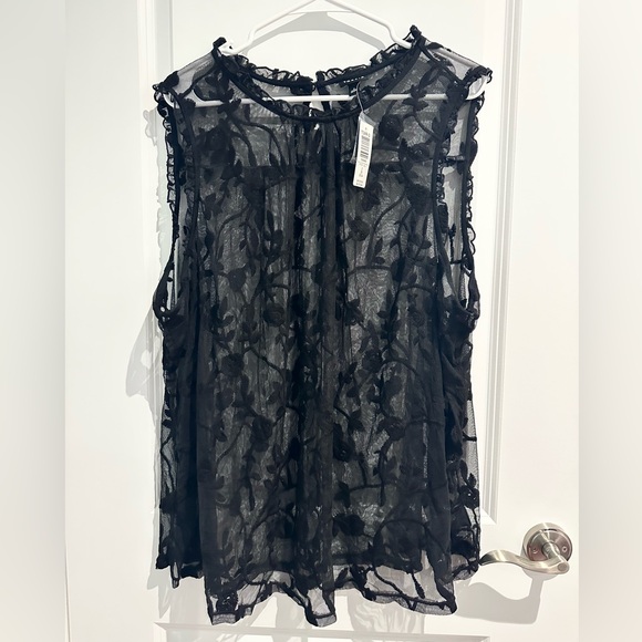 Sheer Mesh Embroidered Ruffle Sleeveless Blouse - Picture 2 of 4